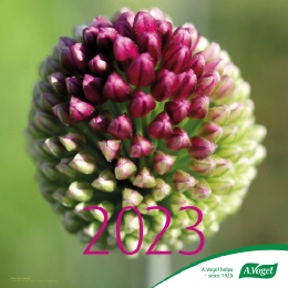 A.Vogel-Kalender 2023