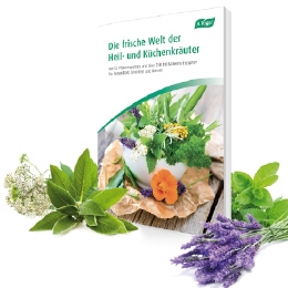 Heil- und Küchenkräuter