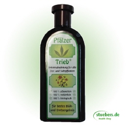 Pfälzer-Trieb
